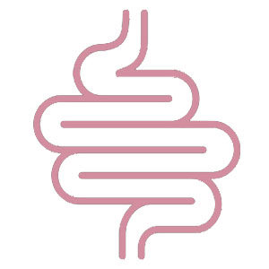 An image of HHS Gut Skin Hair Icon