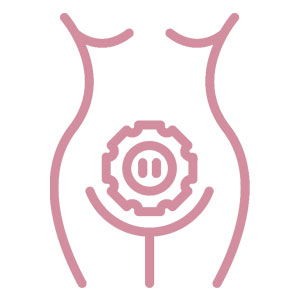 An image of the HHS Muscle Bone Reproductive Health Icon