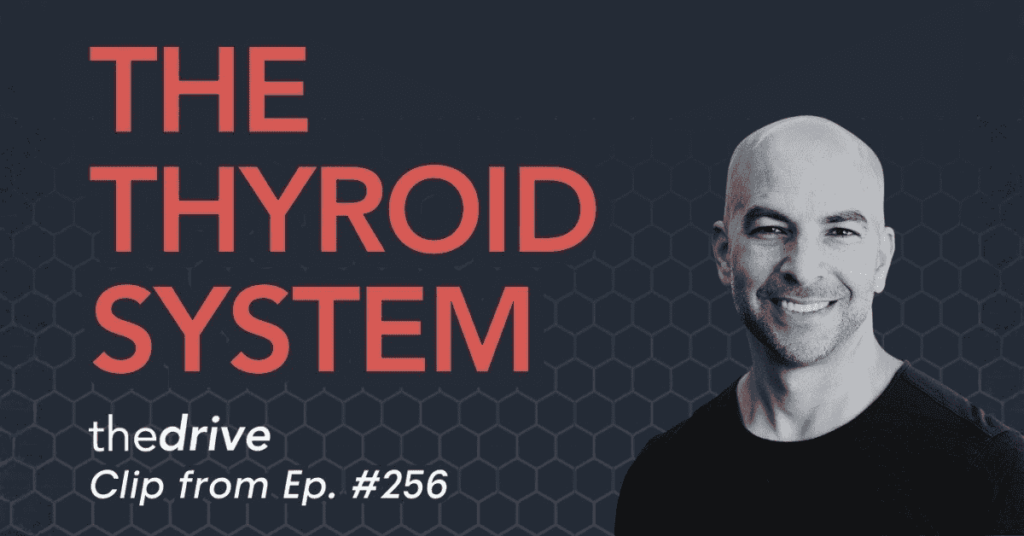 Video cover for The thyroid system: how it works, common problems, hypothyroidism, T3, T4, TSH, & more