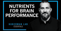 An image of the video thumbnail for Food & Supplements for Brain Health & Cognitive Performance